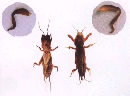 ����鿴����ͼƬ